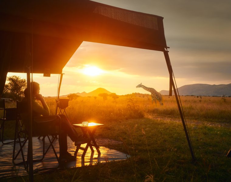 sustainable luxury travel -- safari at sunset